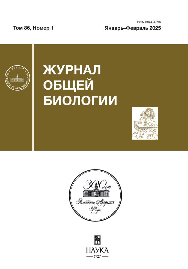 Page Header Logo